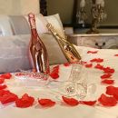 bedroom 5 rose petals_tb.jpg...